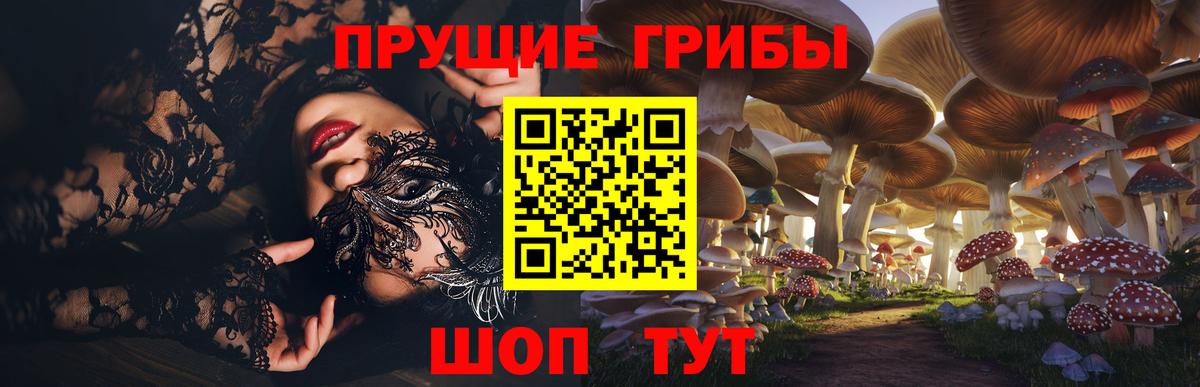 Долгопрудный  Псилоцибиновые грибы ЛСД  Вход с VPN 